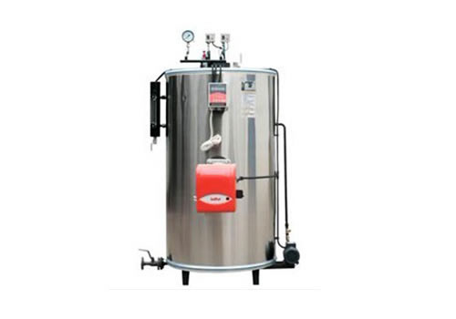 立式燃油燃?xì)庹羝仩t